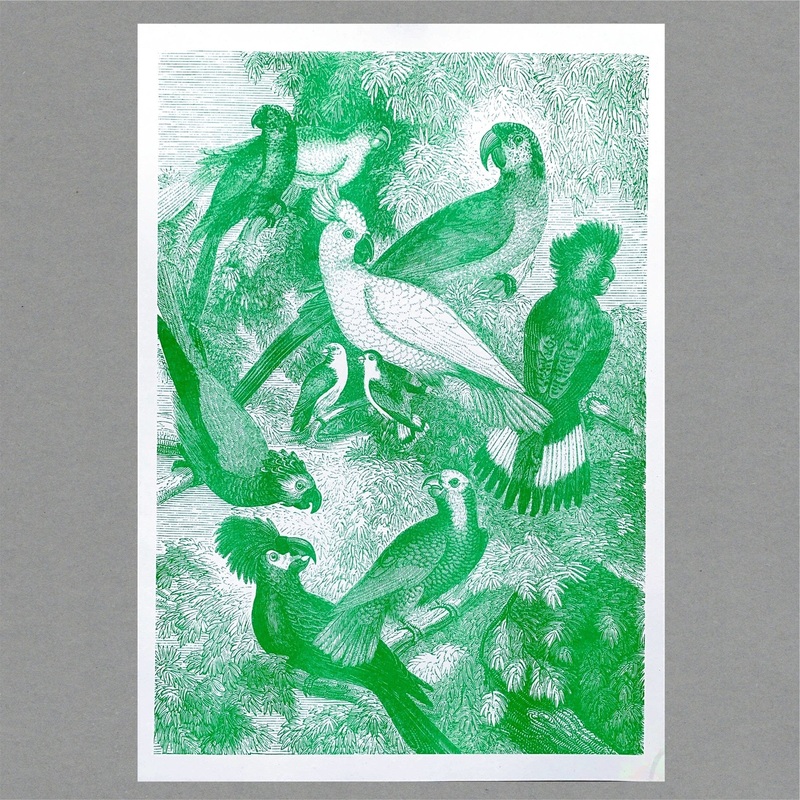 Parrots Risograph Print|A3