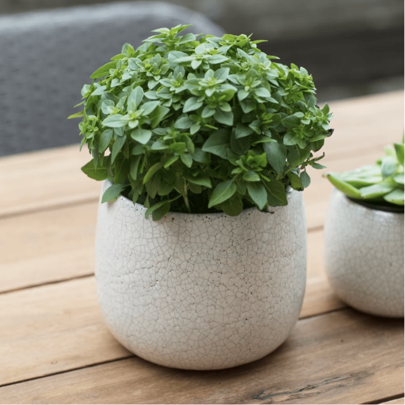 Ravello Pot|10cm|14cm|White|Ceramic