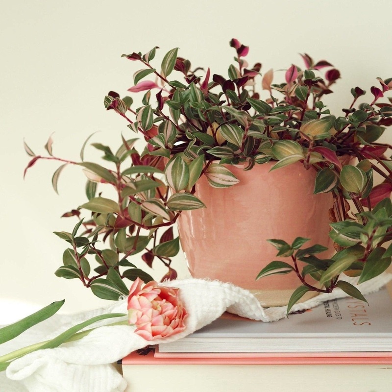 Candy Floss Pink UK Handmade Plant Pot