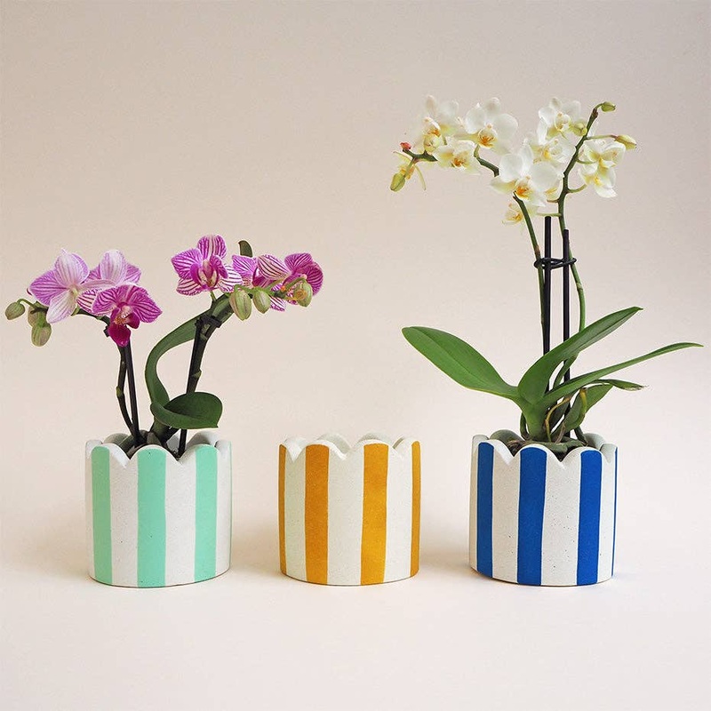 Cobalt Blue Stripes Jesmonite Pot