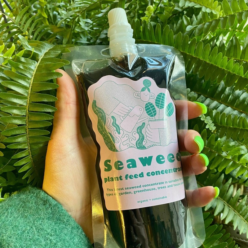 Concentrated Seaweed Plant Feed