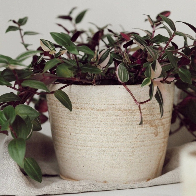 Cream UK Handmade Plant Pot|13cm