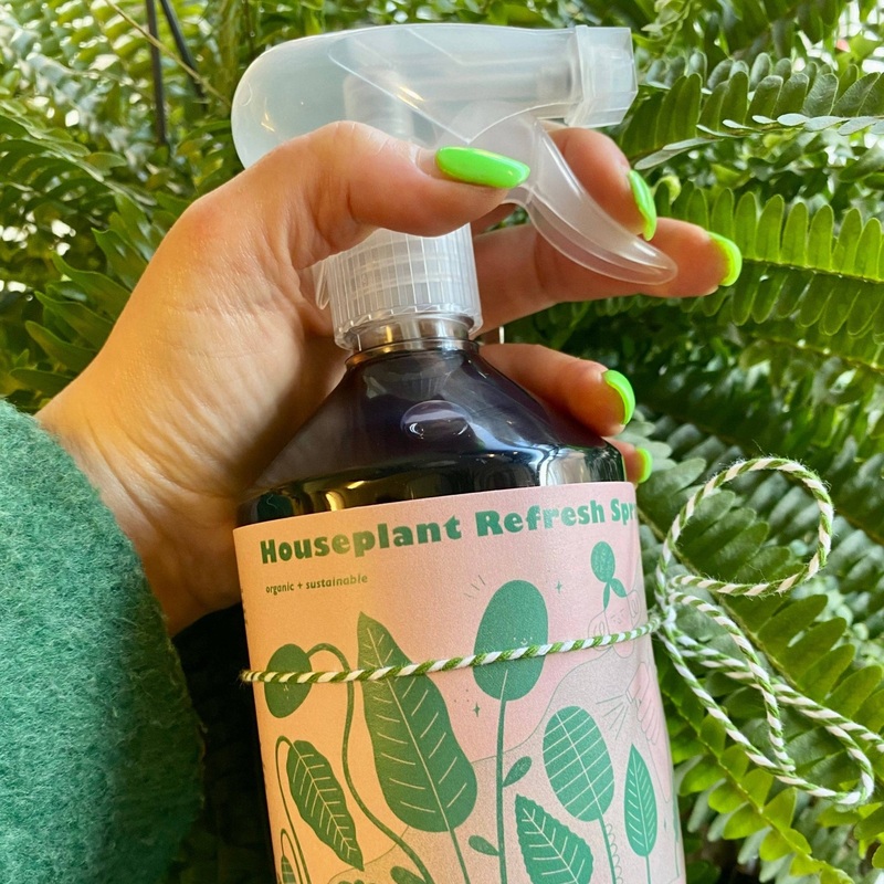 Houseplant Refresh Spray|500ml plastic spray bottle