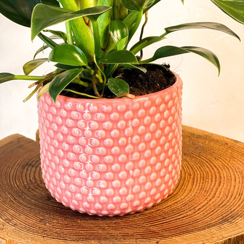 Painted Pink Planter with Raised Dots – 11cm