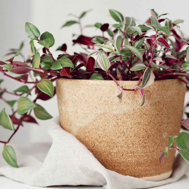 Sandstone UK Handmade Plant Pot
