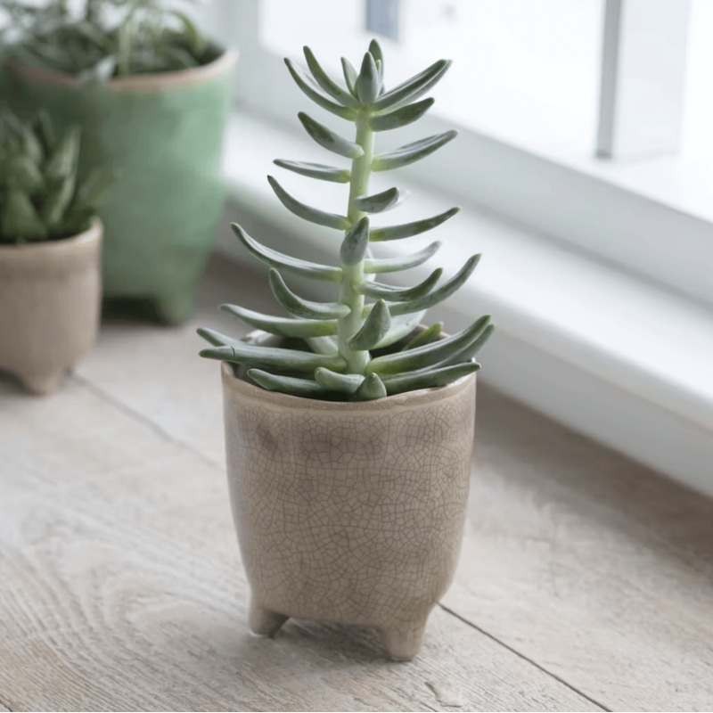 Stone Positano Pot|6cm|9cm|13cm|18cm|Neutral|Ceramic