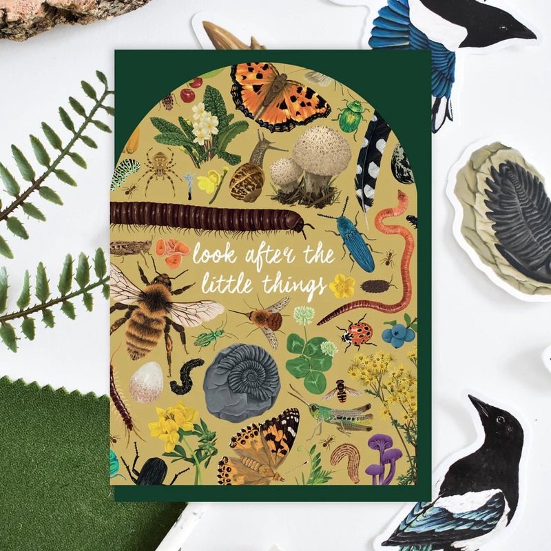 ‘Look After The Little Things’ Arched Insect Greetings Card
