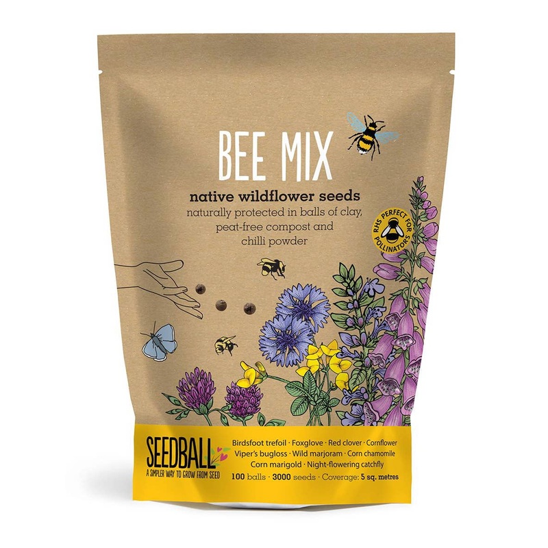 Bee Mix – Wildflower Grab Bag