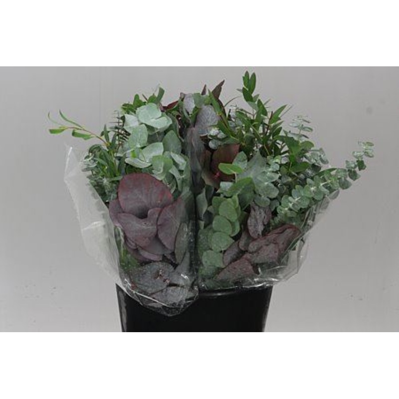 Eucalyptus Bunch – Mixed Varieties – Christmas Craft Wreath Florist Festive Decoration – Fresh Foliage