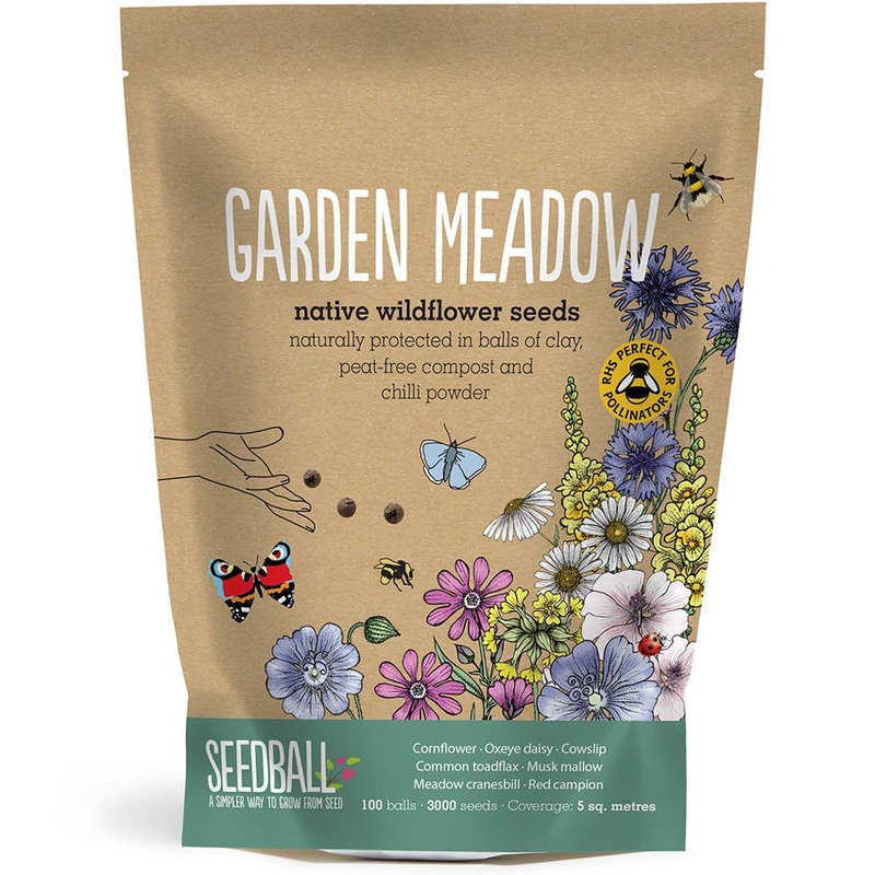 Garden Meadow Mix – Wildflower Grab Bag