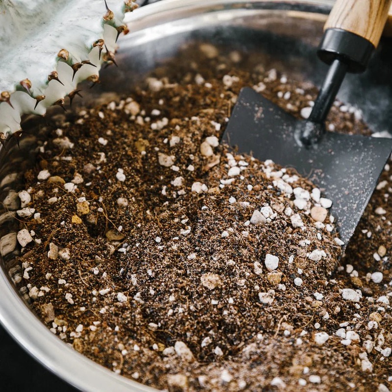 Soil Ninja by the Scoop  Specialist Houseplant Soils