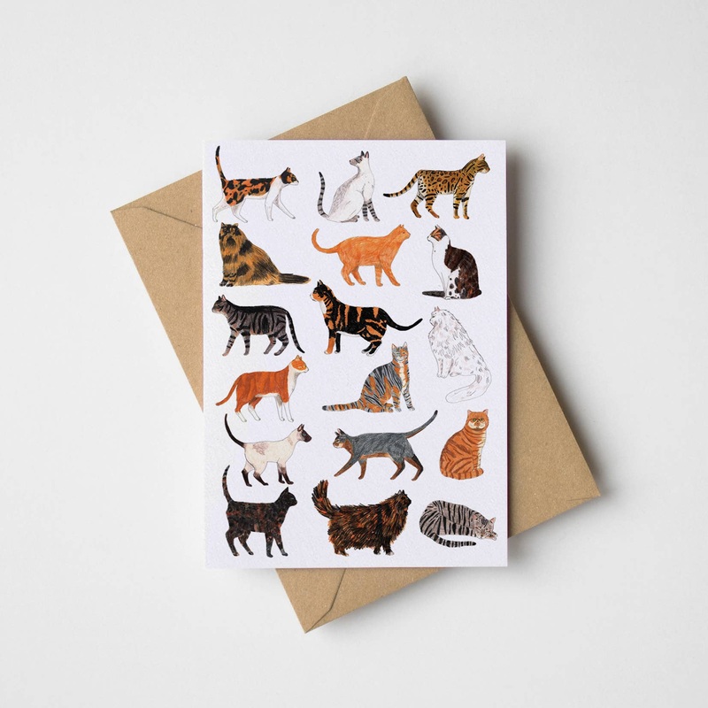 Cats Greetings Card