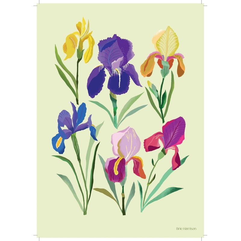 Irises Print A4