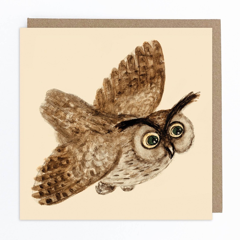 Owl Greetings Card