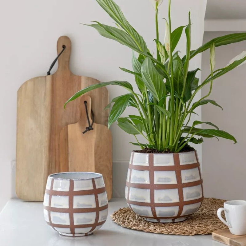 Moda Wax Relief Planter|11cm