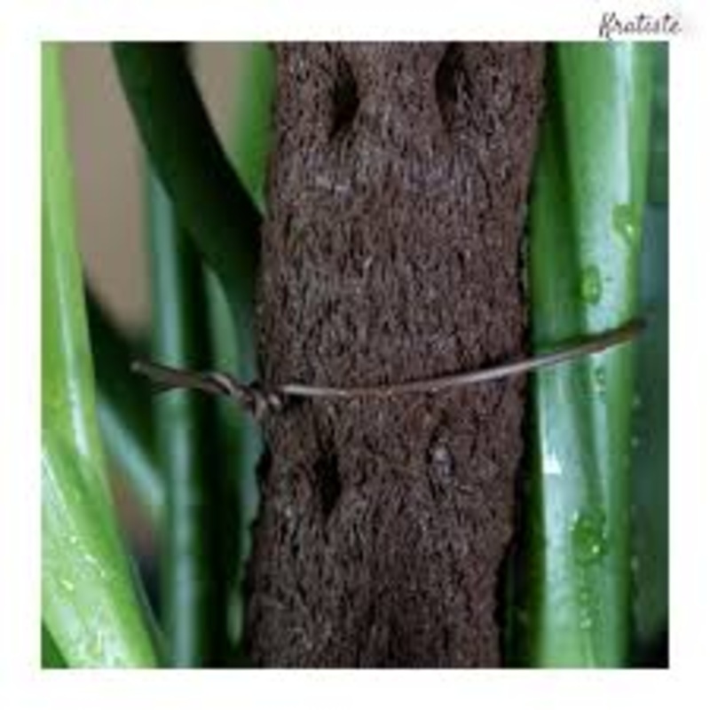 Biodegradable Plant Wire by Kratiste – 100% Natural, Plastic Free