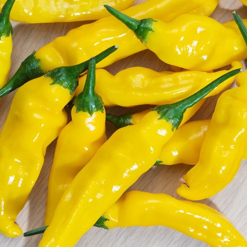 Aji Pineapple – 4 Pot
