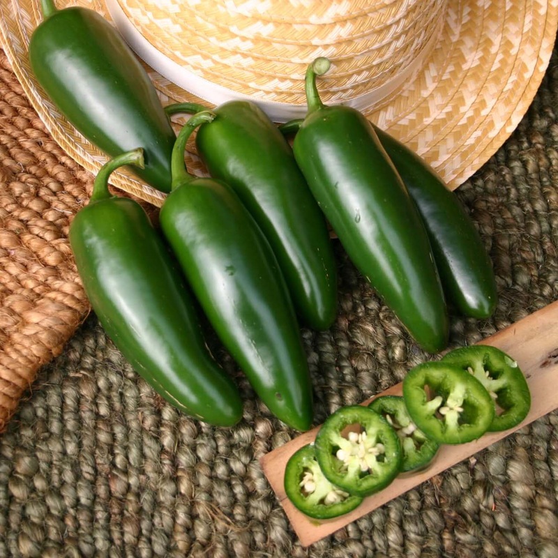 Jalapeno Jedi – 4 Pot