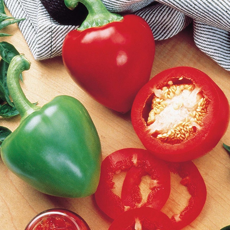 Pimento – 4 Pot