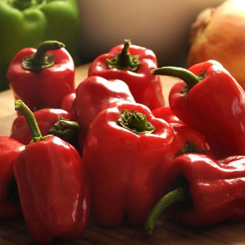 Cajun Belle – 4 Pot