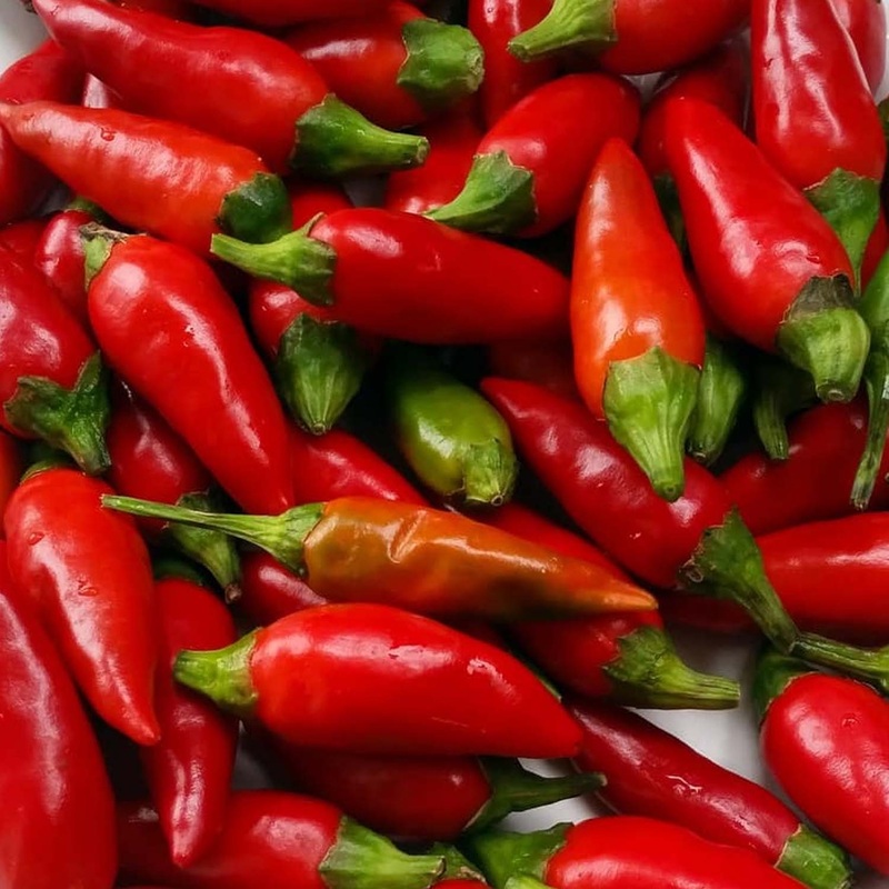 Calabria – 4 Pot