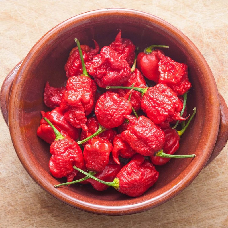 Carolina Reaper – 4 Pot