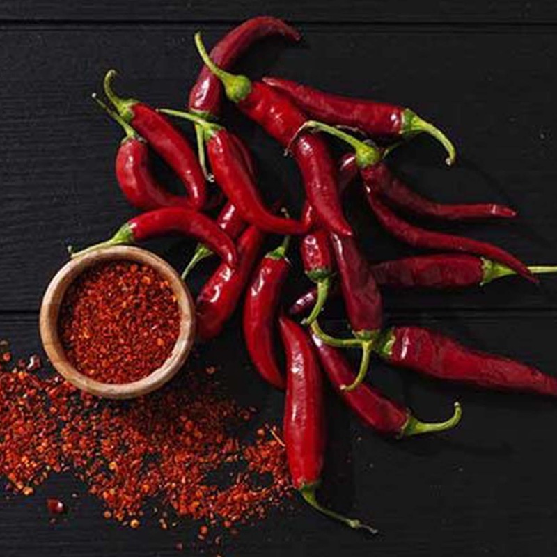 Cayenne – 4 Pot