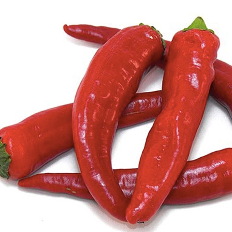 Guajillo – 4 Pot