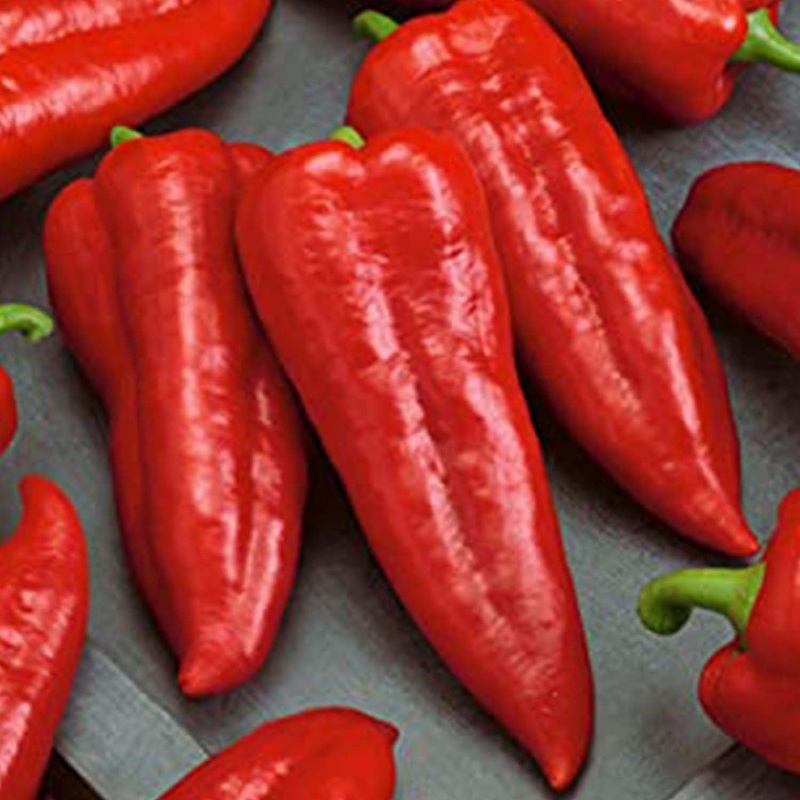 Italian Long Sweet – 4 Pot