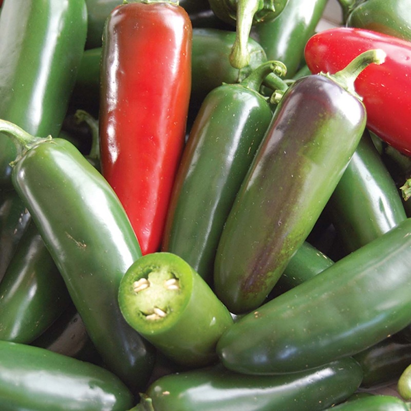 Jalapeno Sweet Poppers – 4 Pot