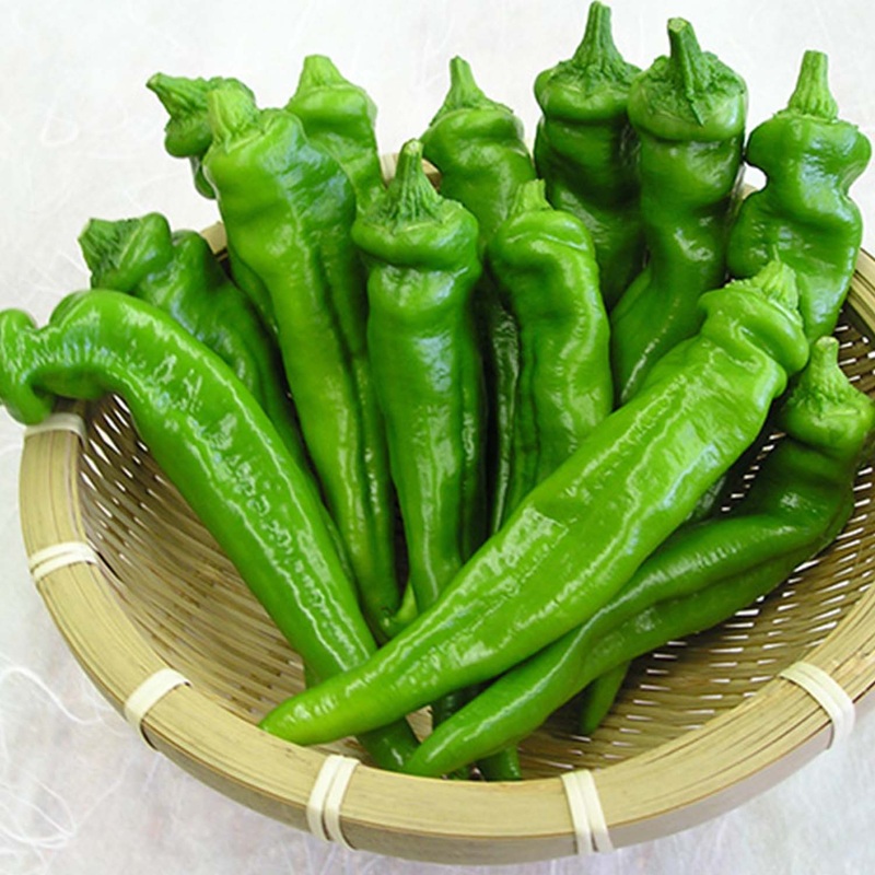 Kyoto Fushimi – 4 Pot