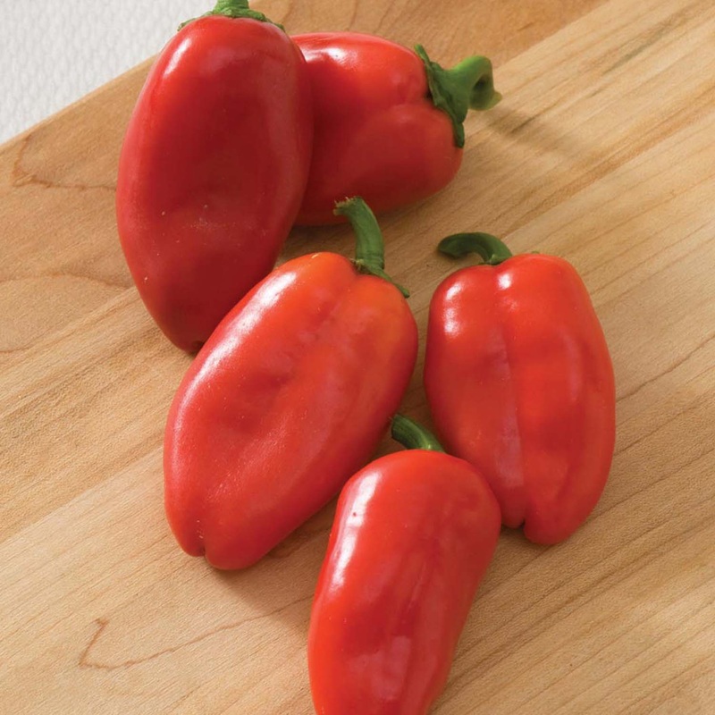 Lunch Box Red – 4 Pot