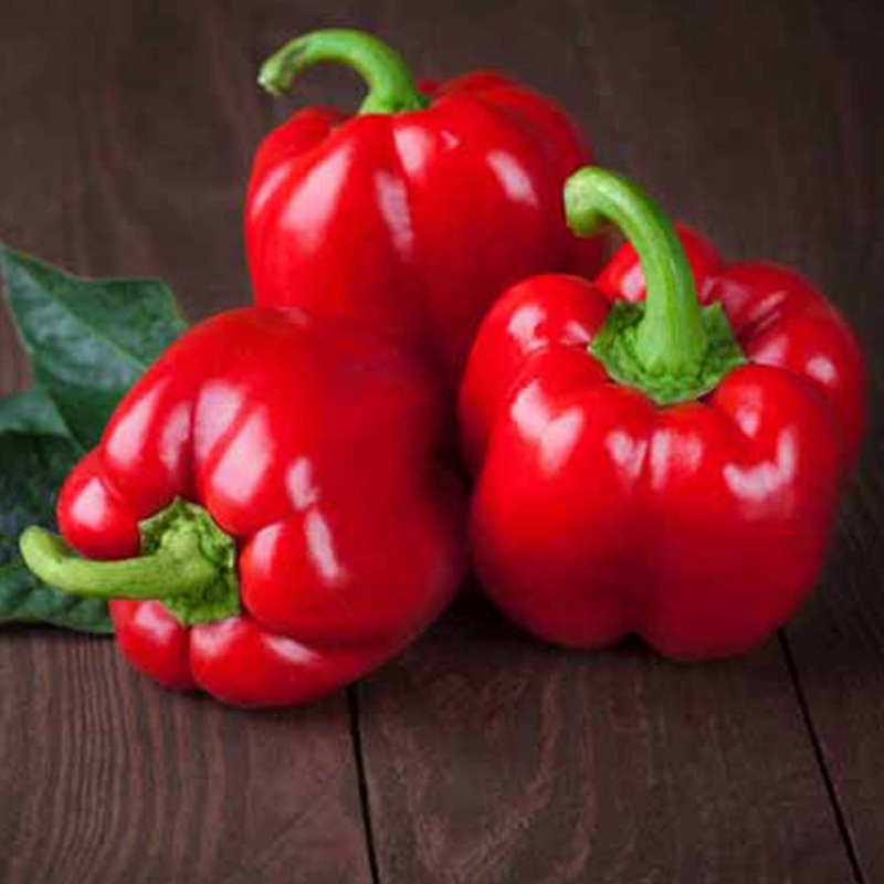 Mini Red Bell – 4 Pot