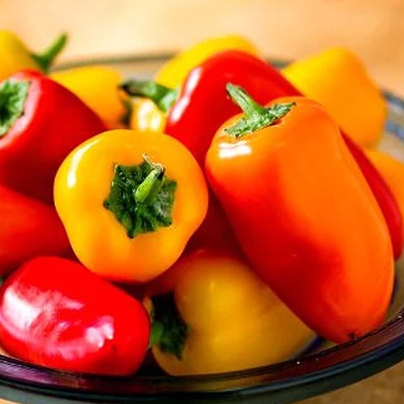 Roumanian Rainbow – 4 Pot