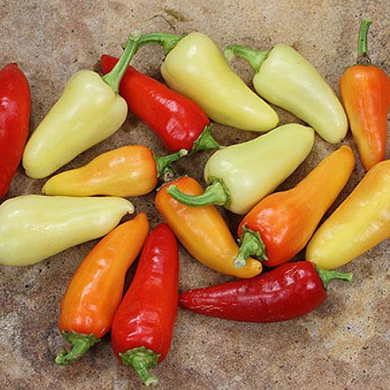 Sante Fe Grande – 4 Pot