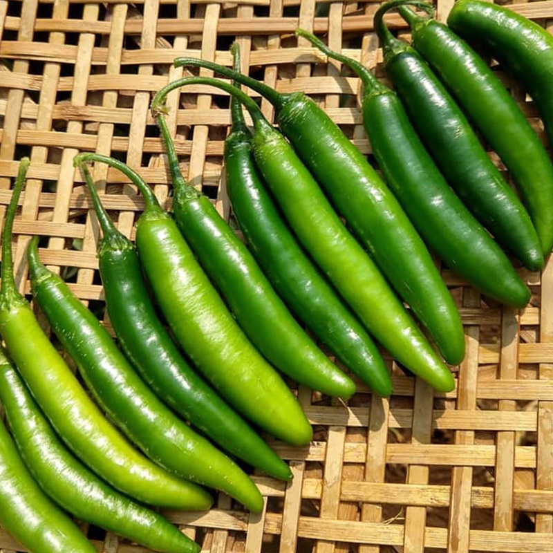 Serrano – 4 Pot