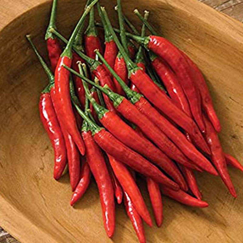 Thai Dragon – 4 Pot
