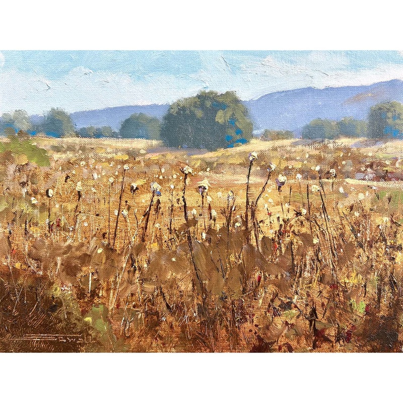 California Ambiance – 9×12