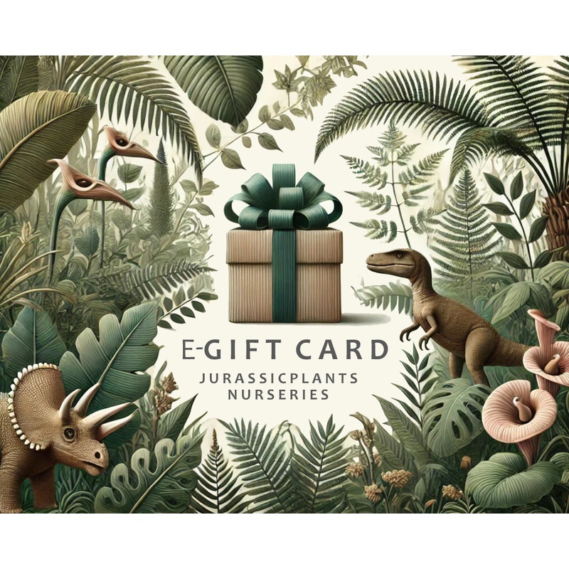 e-Gift Card|10.00|25.00|50.00|100.00
