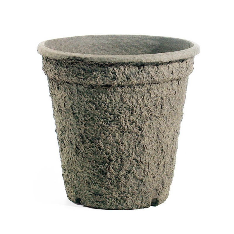 Pulp Pot – 21′ x 16