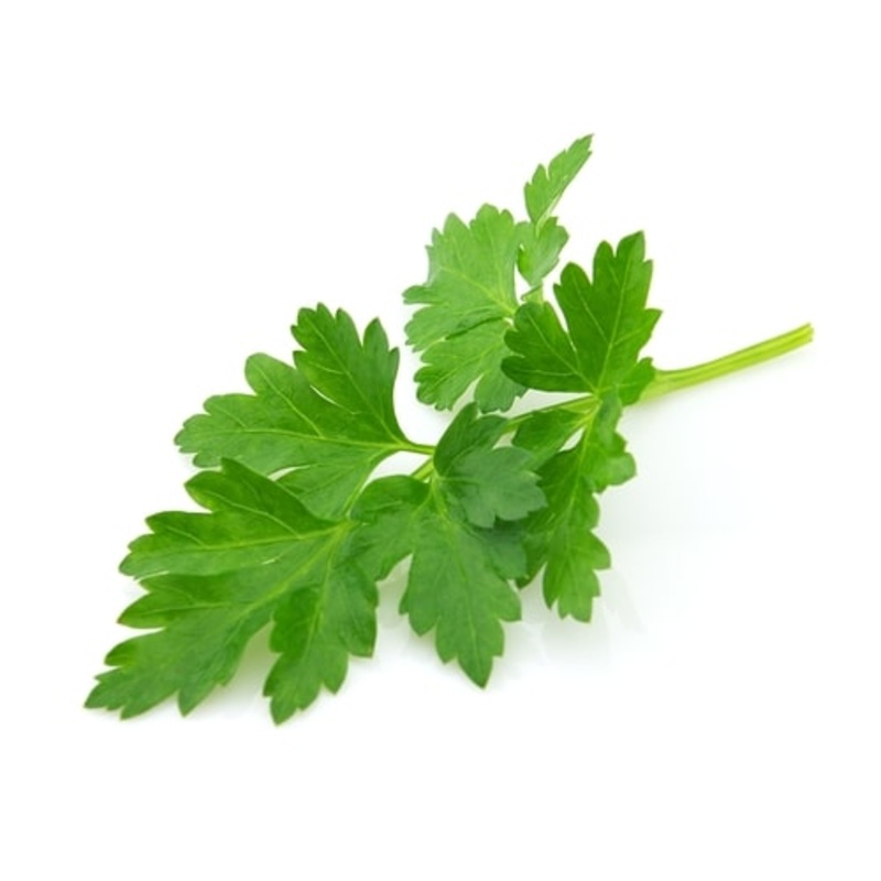 Parsley Flat|9cm