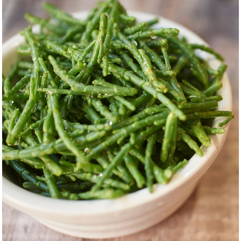 Samphire|9cm