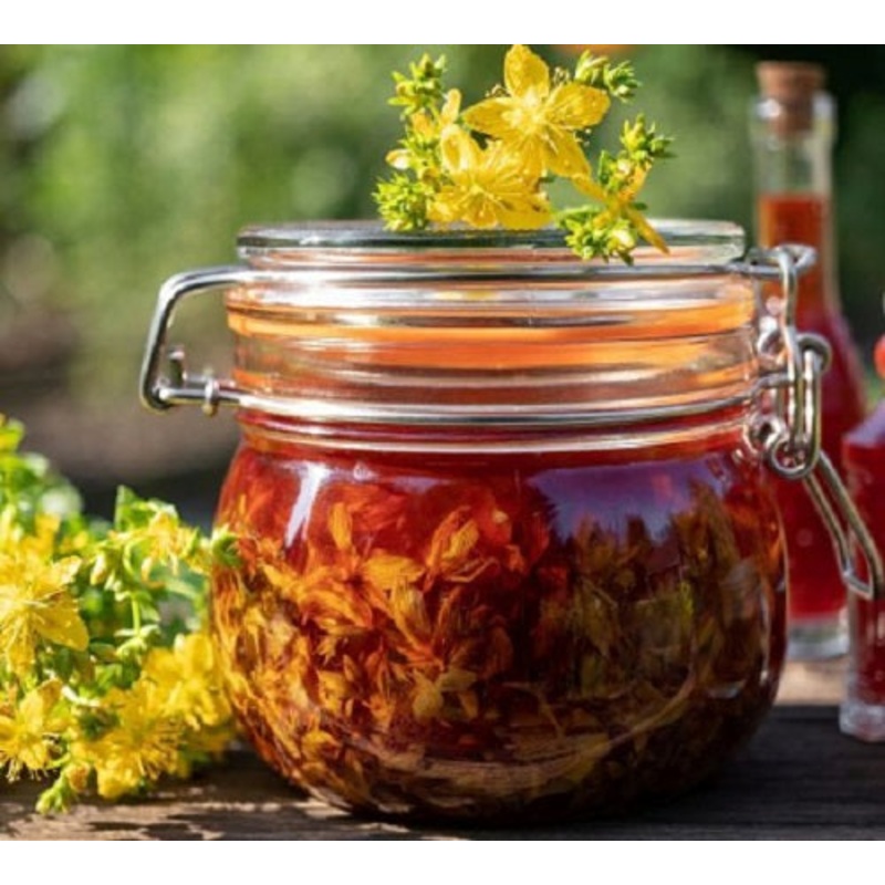 St John’s Wort|3L