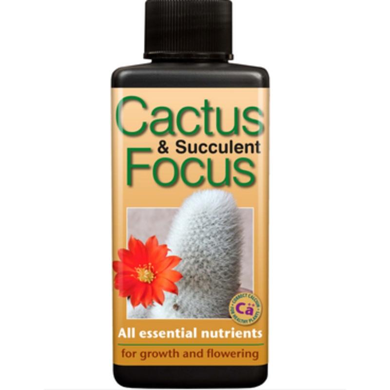 Cactus and Succulent Focus|100ml concentrate|300ml concentrate
