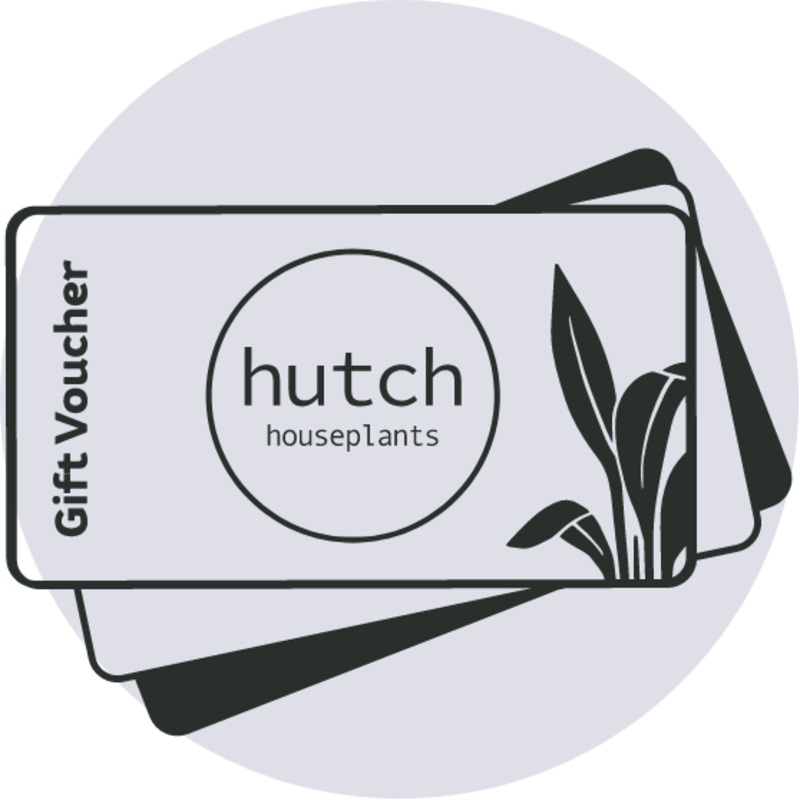 CONGRATULATIONS!!!!|20 Gift Voucher