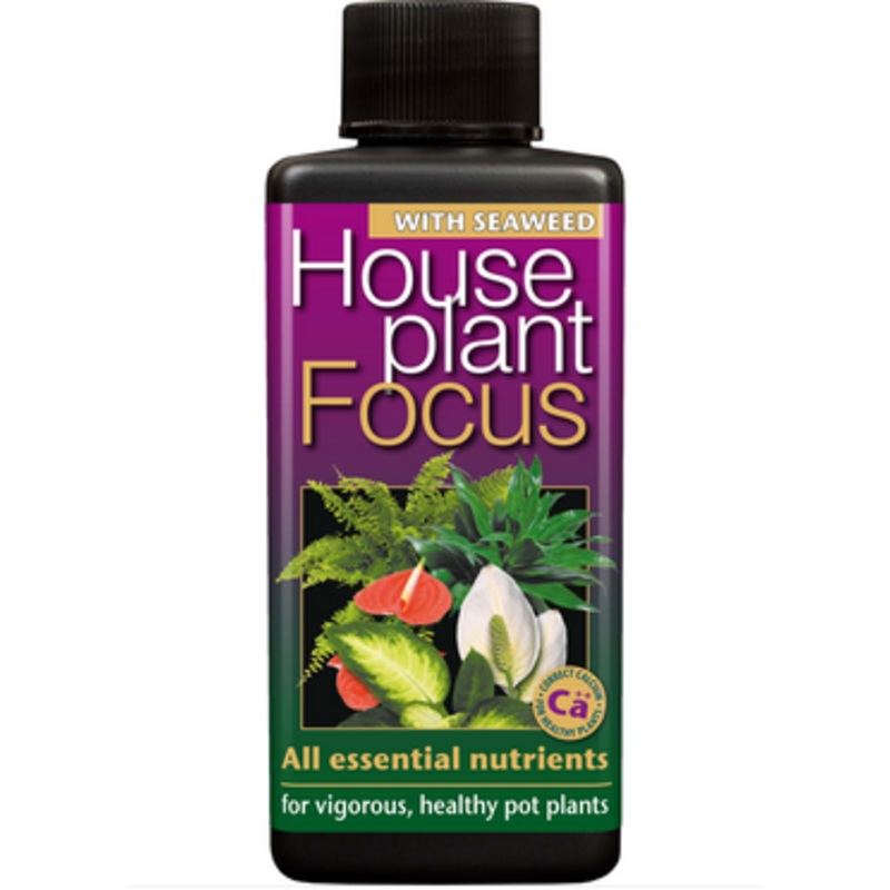 Houseplant Focus|100ml concentrate|300ml concentrate|1l concentrate