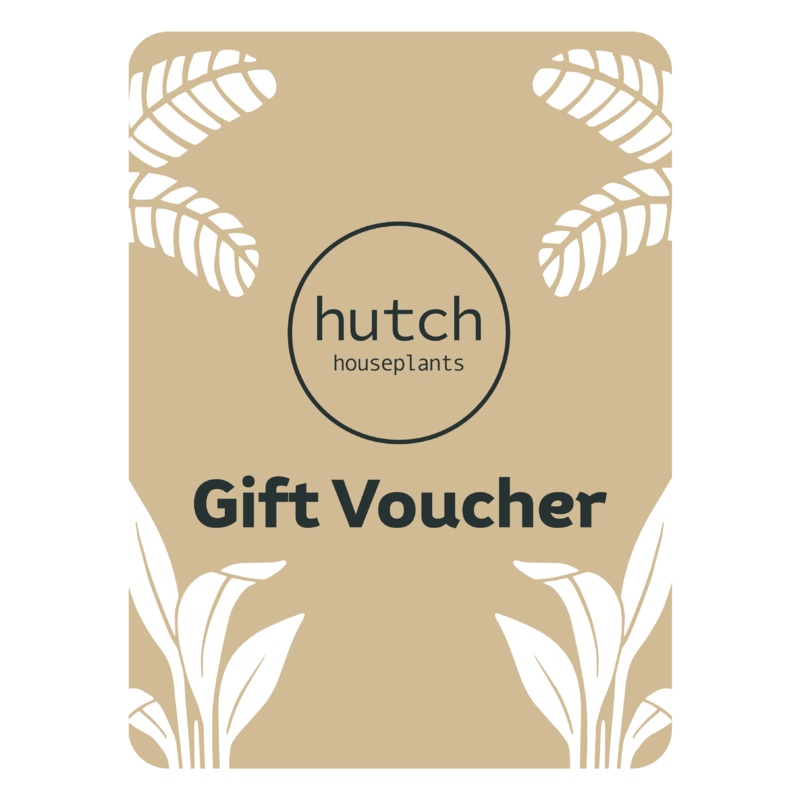 Hutch Gift Voucher|5.00|10.00|15.00|20.00|25.00|30.00|40.00|50.00|100.00