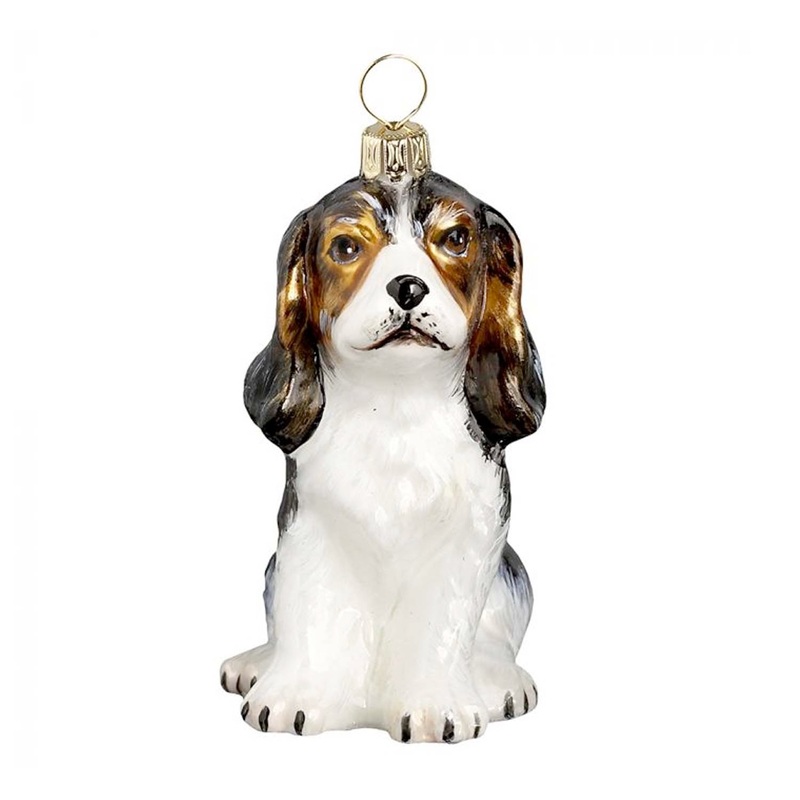 Cavalier Puppy Tri Color