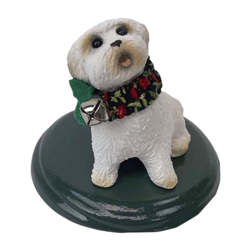Dog Bichon