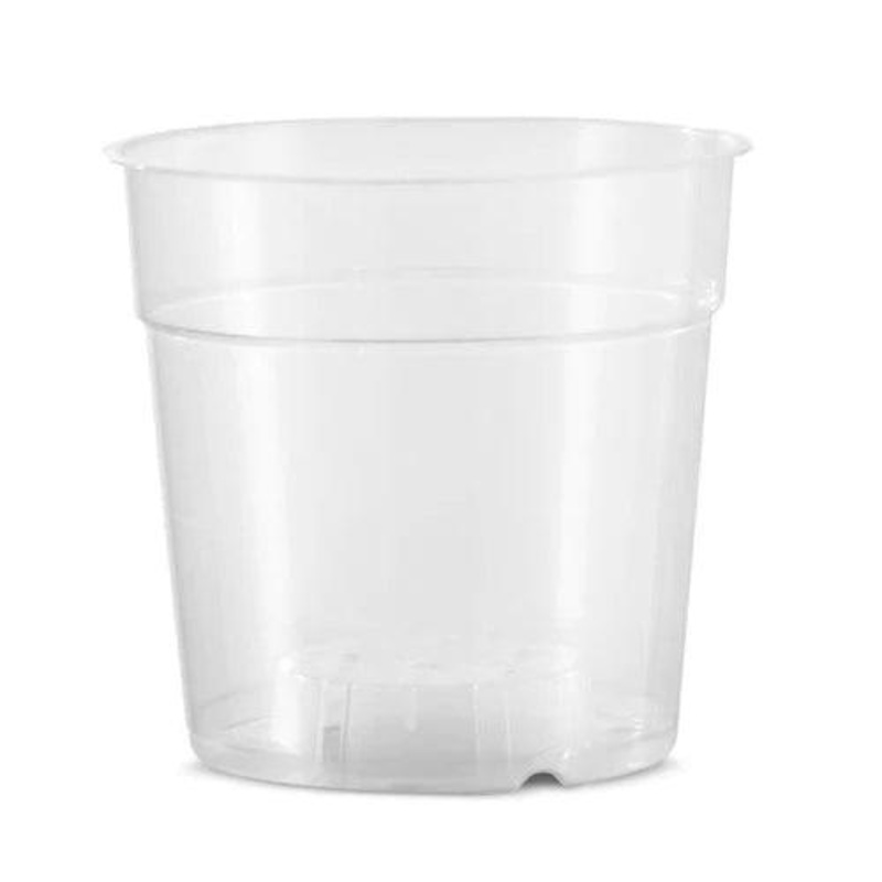 Clear Orchid Pots 12cm  | Transparent Nursery Pot